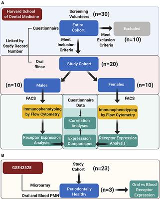 Oral Neutrophil Free Fatty Acid Receptors Expression May Link Oral Host and Microbiome Lipid Metabolism